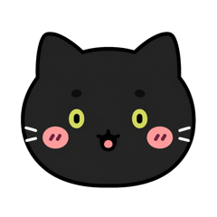 黒猫